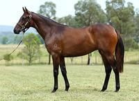 Domesday chimes in with another two Stakes winners