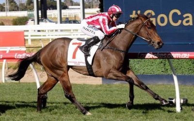 I Did It Again lands plunge on debut at Caulfield