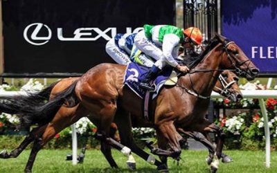 Larneuk Stud Bred Duo Chasing $500,000 Melbourne Cup Country Final