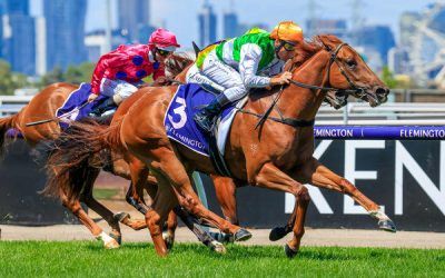 $700 mare produces Stakes Winner