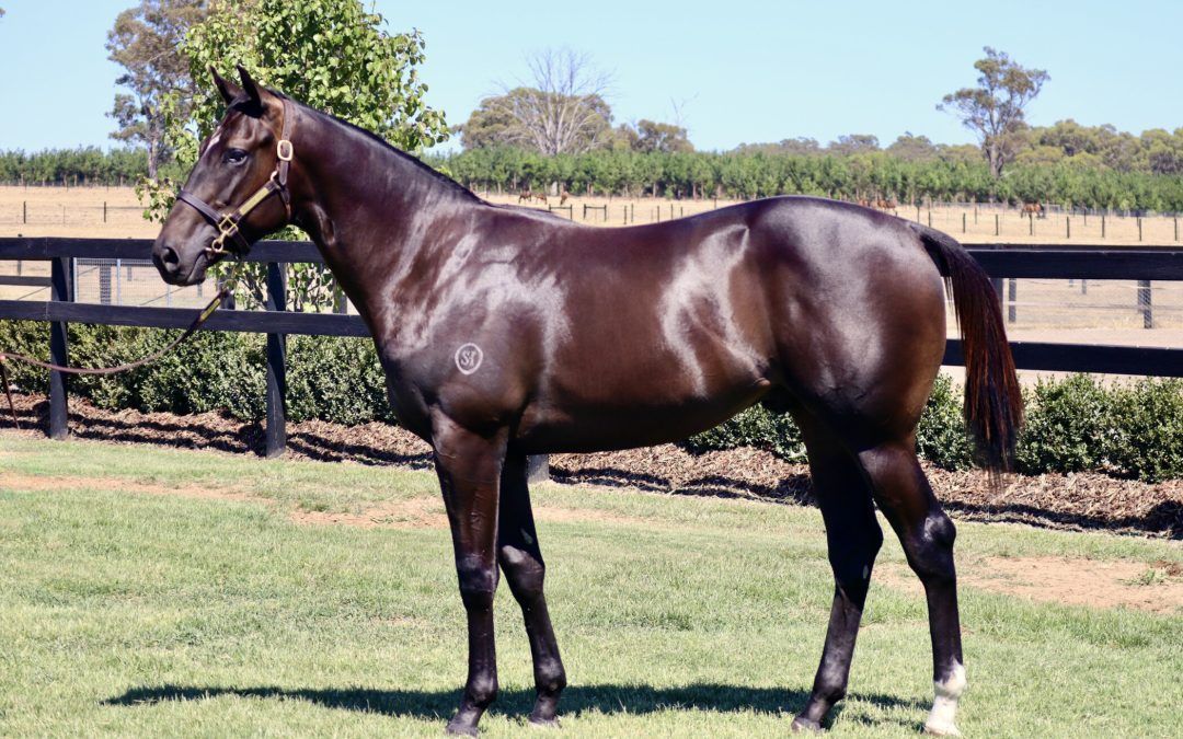 Wooded X Gloves Are Off 23