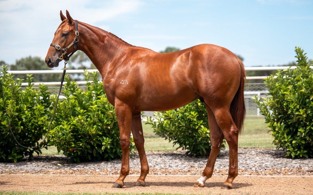 All Too Hard X Front Money 23