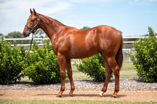 All Too Hard X Front Money 23