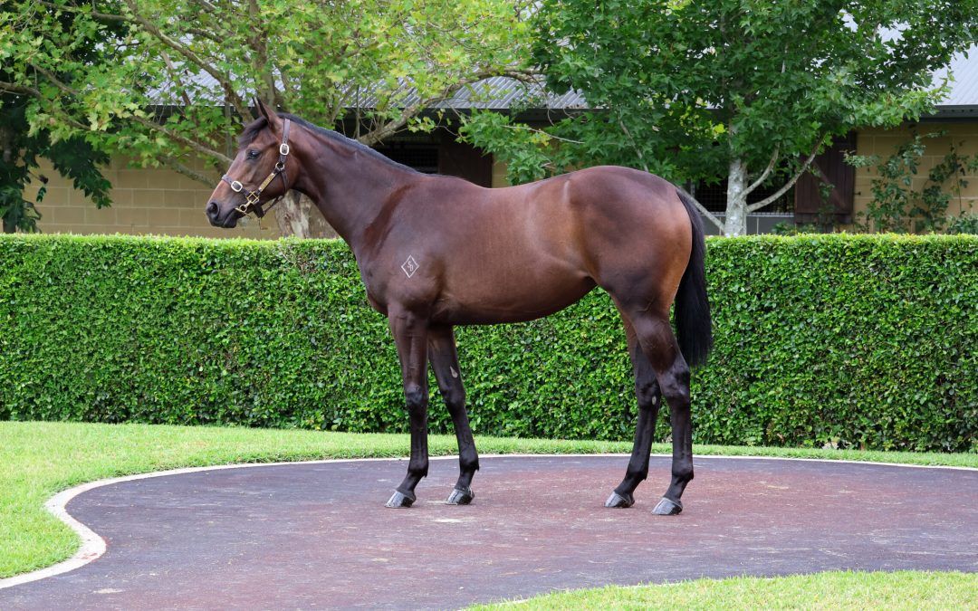 Hellbent X Maevemoo 24