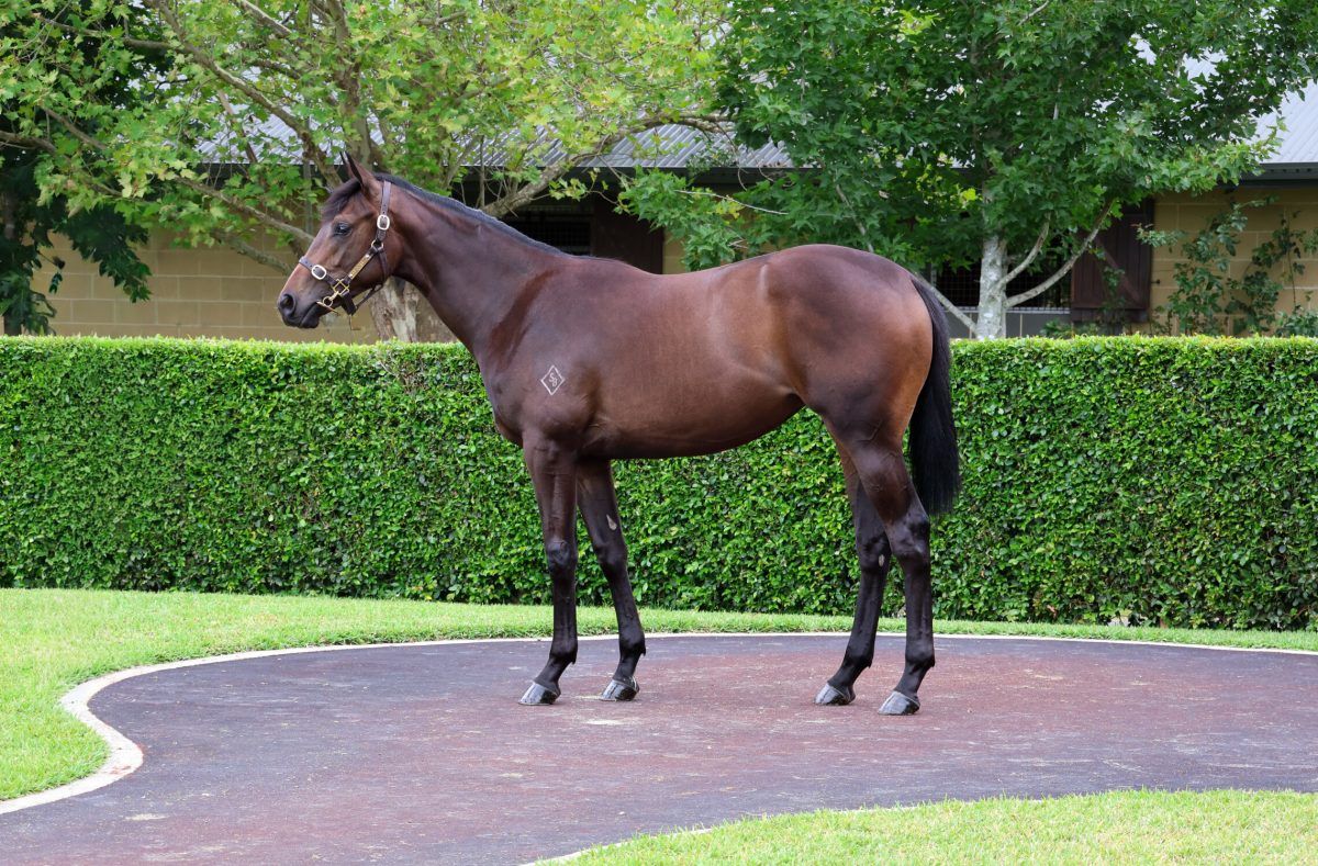 Hellbent X Maevemoo 24