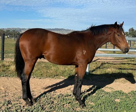 I Am Immortal x Miss Maggiebeel 24