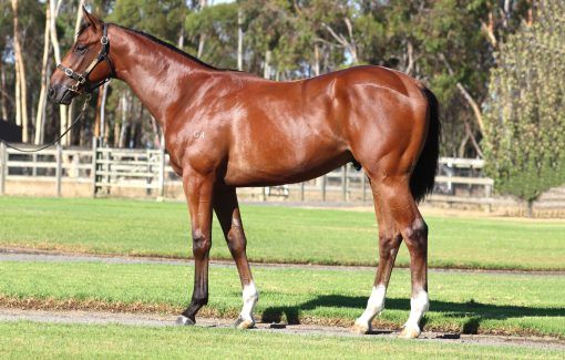 Exceed And Excel X Heavenly Curlin 24