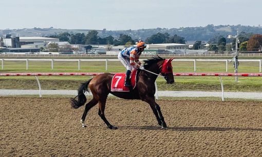 Un-named (Foxwedge - Winay Wayna)