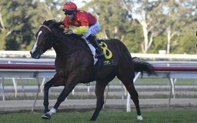 Impressive debut win for ‘North’ at Wyong!