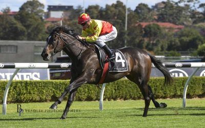 Snowdens California dreaming after impressive debut