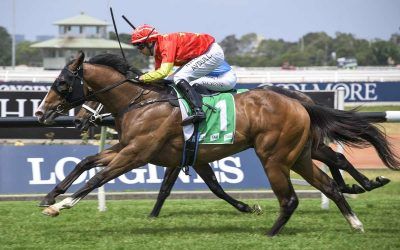 Aim fires on Rosehill debut
