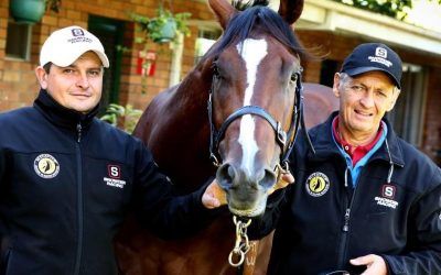 King and Prince ready for Sires