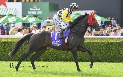 Sydney Cup test for Carif in G2 Chairman’s Quality