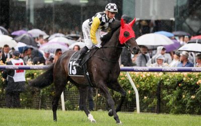 Melbourne Cup dream alive for Snowdens and Carif