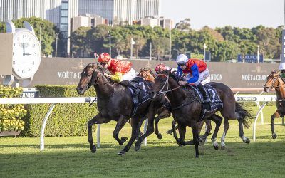 Captivant plucked from paddock to snare Champagne Stakes