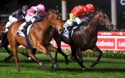 Wild Ruler on Top in the Group 1 Moir Stakes