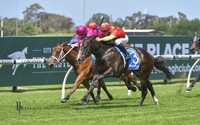 Calgary Stampede set to contest the Inglis Nursery after Rosehill win