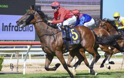 Rocky lands the knockout blow at Wyong