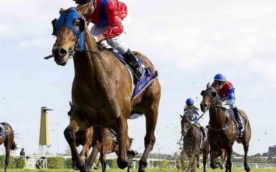 He’s A Vital Addition To The Stable