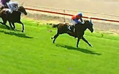 Don’tgetcaught Solid Win At Narrogin