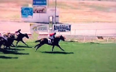 Beinn Nibheis To Good For Rivals At Narrogin