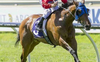 Vital Edition heads to Ascot on Saturday