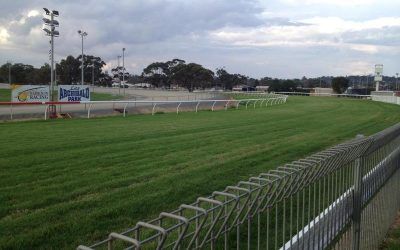 Four Stable Runners To Compete At Narrogin On Friday.