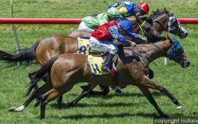 Vampi Lass To Contest Listed Event On Saturday