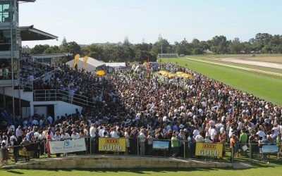 Two Runners For The Stable At Bunbury,With Vampi Lass To Take On Breeders Listed