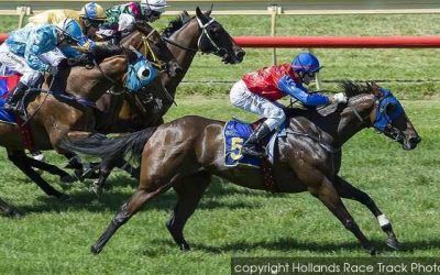 Flight Of Fancy Gets Her Chance In The Listed, Natasha Stakes