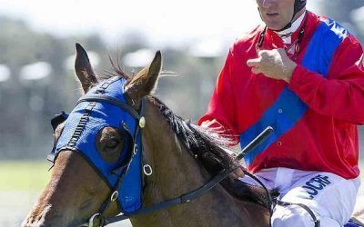 Vital Edition And Paul Harvey Reunite