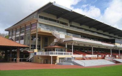 Two Stable Runners At Ascot On Wednesday
