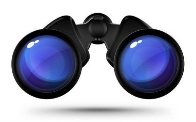 Trial At Lark Hill (result)