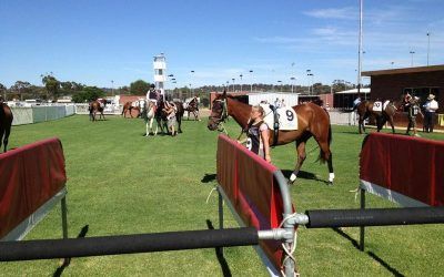 Narrogin To Host Three Ben Pearce Runners On Sunday
