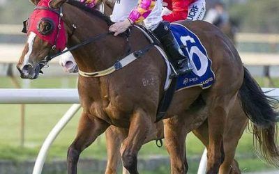 Danablue To Contest For The Prize At Belmont