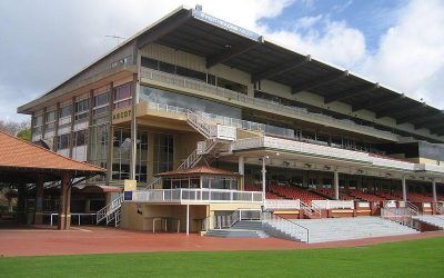 Stable To Run, Two Thoroughbreds At Belmont On Wednesday