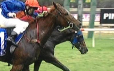 Don’tgetcaught Brings Up 3 Wins In Four Outings