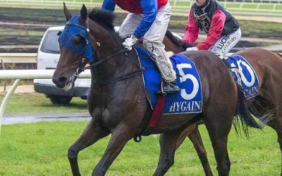 Don’tgetcaught To Contest At Belmont On Saturday Over A Mile