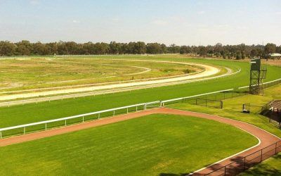 Pinjarra Park To Host 3 Ben Pearce Runners On Wednesday