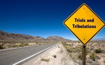 Belmont Trial Results For Ben Pearce Stable