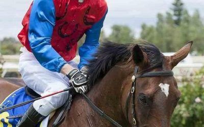 Lady Natesa Makes The Trip To Northam On Thursday