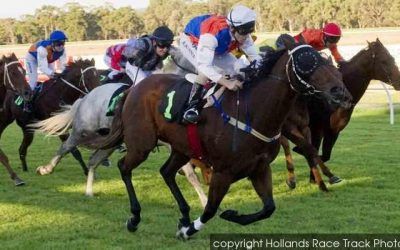 Freetime Returns To Belmont On Wednesday