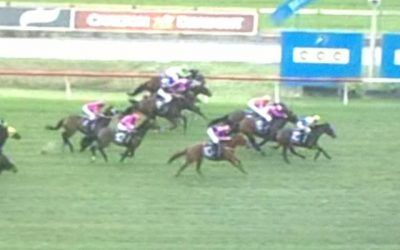 Danablue Holds Off The Challenge To Finish Third At Belmont