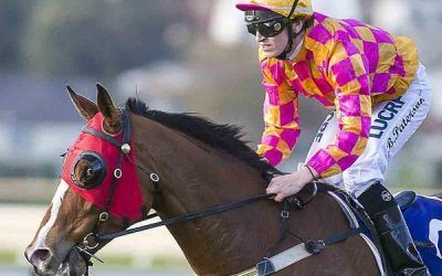 Two Stable Runners At Belmont On Wednesday