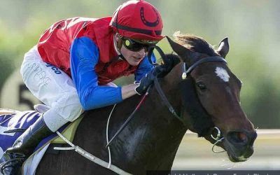 Raising Dubai To Contest For The Prize At Belmont On Saturday