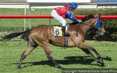 Mad Brad In Belmont Return