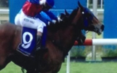 Mad Brad Goes Back To Back With Hall In Charge At Belmont