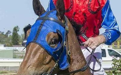 Mad Brad To Contest For The Prize At Belmont