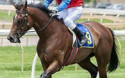 Huge Run By Lady Natesa Brings About A Second At Pinjarra