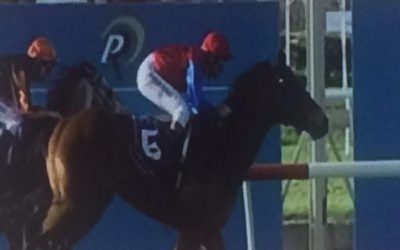 Mad Brad And Peter Hall Chalk Up Three In A Row At Belmont